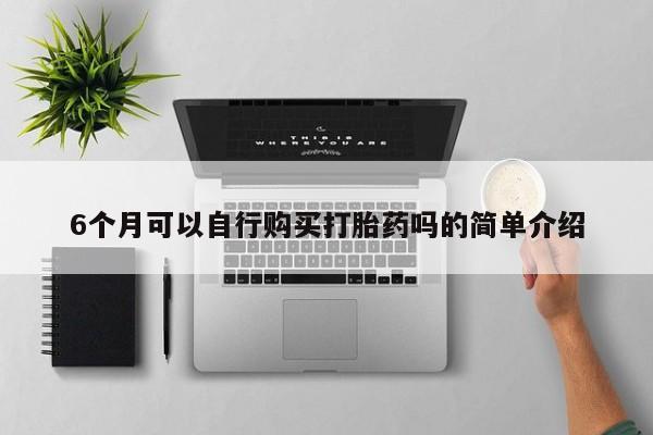 私人医院卖打胎药合法吗6个月可以自行购买打胎药吗的简单介绍